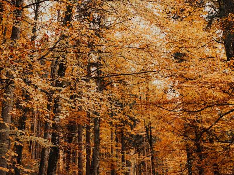 Coming Out of&nbsp;Summer