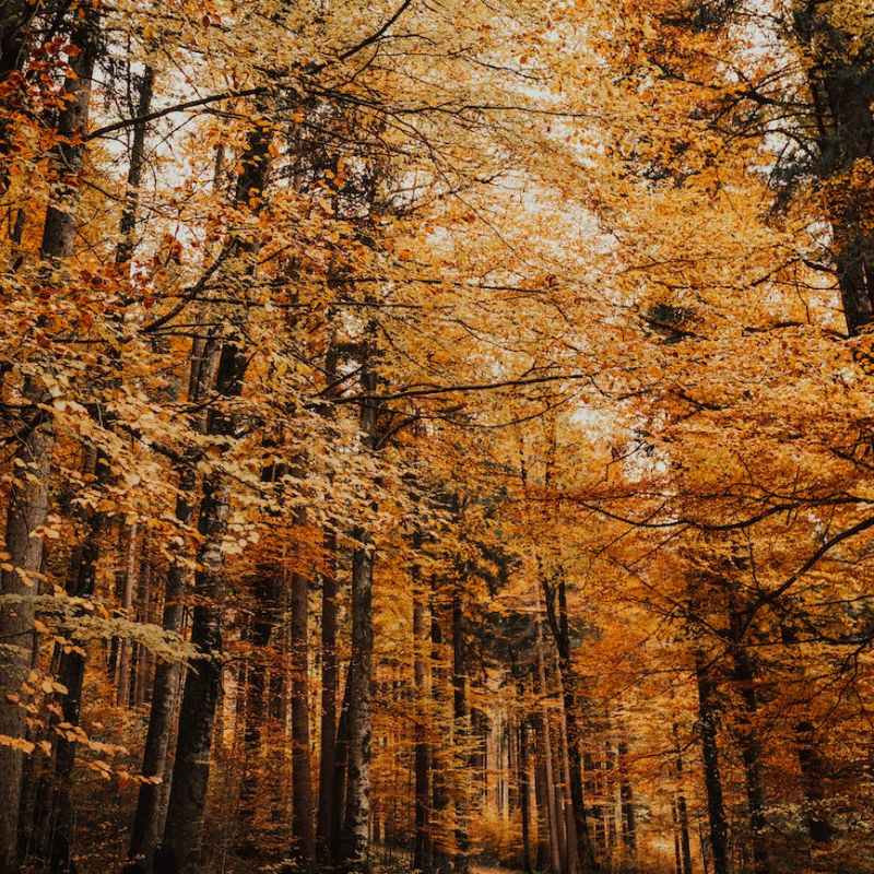 Coming Out of&nbsp;Summer